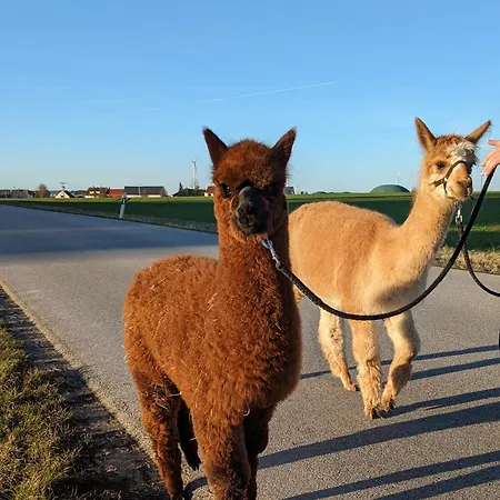 Seenlandliebe Wiesethblick Bis 3 Personen Bechhofen (Ansbach)
