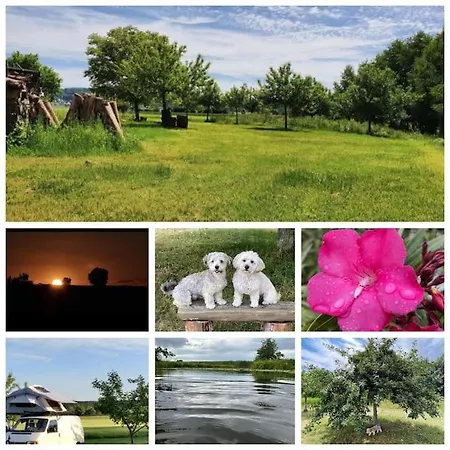 Apartmán Seenlandliebe Wiesethblick Bis 3 Personen *
