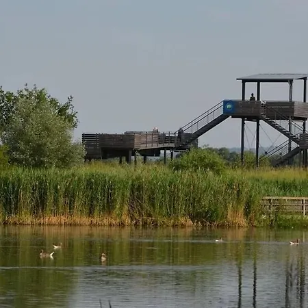 Seenlandliebe Wiesethblick Bis 3 Personen Apartmán